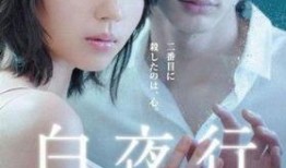 白夜行日版在线观看,探寻黑暗中的光明救赎之旅